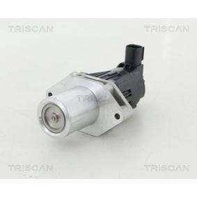 Køb EGR-ventil af TRISCAN 8813 24209 til den lave pris 1794,10 DKK