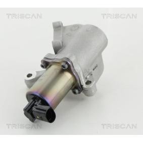 Acquista Valvola EGR da TRISCAN 8813 44009 a buon mercato per soli 545,62 €