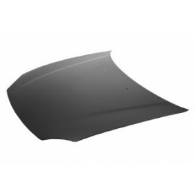 Motorhaube 2539660