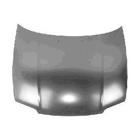 Motorhaube 2724660