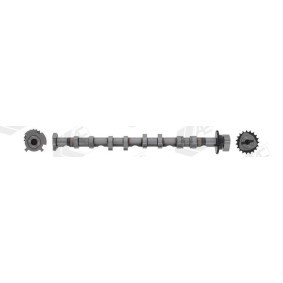 Acquista Albero a camme da AE CAM981 a buon mercato per soli 226,43 €