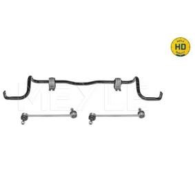 Stabilisator von MEYLE für MEGANE III Coupe (DZ0/1_) günstig online kaufen