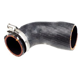 Comprar Tubo flexible de aire de sobrealimentación de BUGIAD 81704 a bajo precio de 40,32 €