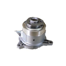 Achetez des Pompe à eau BUGIAD BSP23184 à prix pour 134,67 €