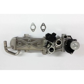 Comprar Modulo EGR de BUGIAD BSP24721.B a bajo precio de 304,80 €