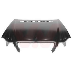 Motorhaube 3029660