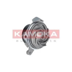 Achetez des Pompe à eau KAMOKA T0001 à prix pour 34,01 €