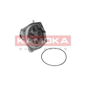 Achetez des Pompe à eau KAMOKA T0006 à prix pour 38,15 €