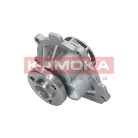 Achetez des Pompe à eau KAMOKA T0008 à prix pour 35,86 €