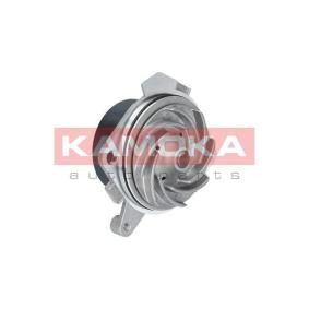 Achetez des Pompe à eau KAMOKA T0012 à prix pour 34,51 €