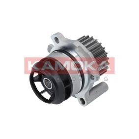 Achetez des Pompe à eau KAMOKA T0022 à prix pour 35,67 €
