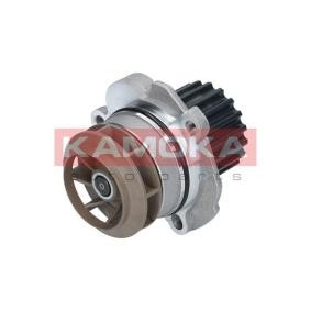 Achetez des Pompe à eau KAMOKA T0027 à prix pour 41,53 €