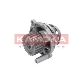 Achetez des Pompe à eau KAMOKA T0028 à prix pour 36,83 €