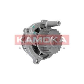 Wasserpumpe T0038 CITROËN C-CROSSER von KAMOKA