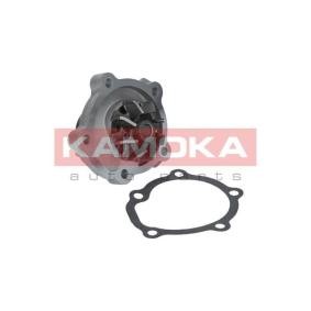 Achetez des Pompe à eau KAMOKA T0066 à prix pour 34,47 €