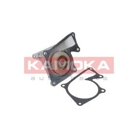 Achetez des Pompe à eau KAMOKA T0101 à prix pour 45,82 €