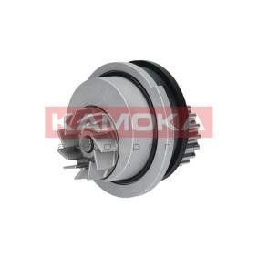 Comprar Bomba de agua de KAMOKA T0106 a bajo precio de 25,30 €