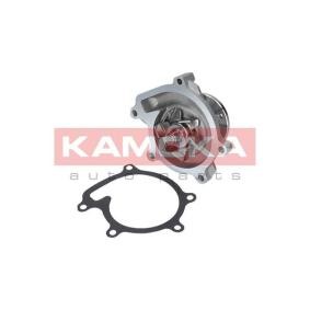 Wasserpumpe von KAMOKA für TERIOS (J2_) günstig online kaufen