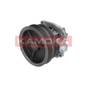 Achetez des Pompe à eau KAMOKA T0112 à prix pour 50,21 €