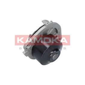 Osta Vesipumppu KAMOKA:llä T0113 edullisesti hintaan 20,62 €