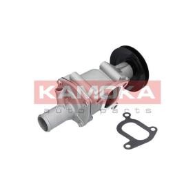 Achetez des Pompe à eau KAMOKA T0116 à prix pour 59,66 €