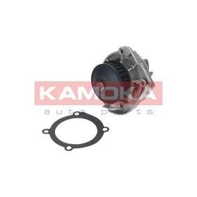 Osta Vesipumppu KAMOKA:llä T0118 edullisesti hintaan 37,05 €