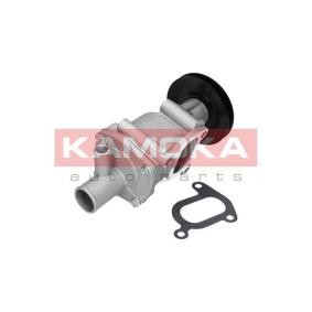 Achetez des Pompe à eau KAMOKA T0122 à prix pour 57,53 €