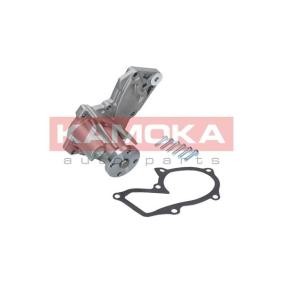 Achetez des Pompe à eau KAMOKA T0127 à prix pour 31,22 €