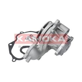 Achetez des Pompe à eau KAMOKA T0128 à prix pour 43,91 €