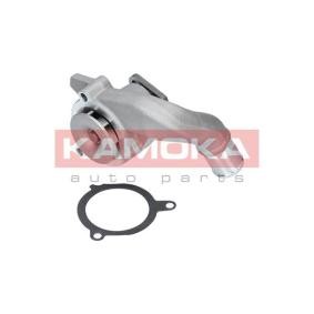 Wasserpumpe T0133 ALPINA B3 von KAMOKA