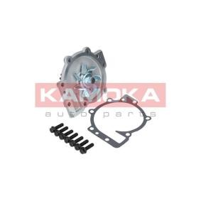 Wasserpumpe T0137 CITROËN C-CROSSER von KAMOKA