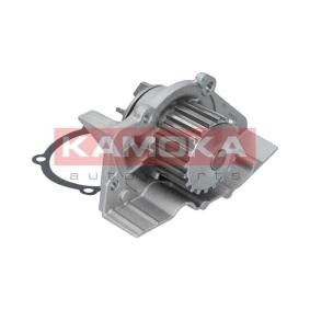 Achetez des Pompe à eau KAMOKA T0145 à prix pour 34,88 €