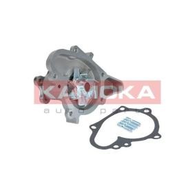 Achetez des Pompe à eau KAMOKA T0159 à prix pour 32,58 €