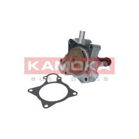 Achetez des Pompe à eau de chez KAMOKA en ligne pour MASSIF Single Cab à prix modérés