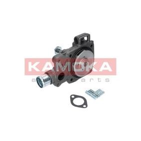 Achetez des Pompe à eau KAMOKA T0166 à prix pour 67,35 €