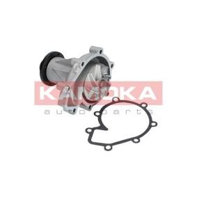 Achetez des Pompe à eau KAMOKA T0185 à prix pour 47,96 €