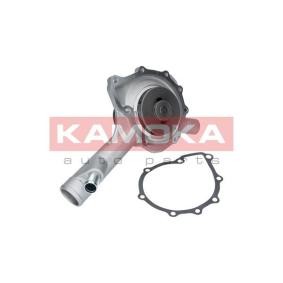 Achetez des Pompe à eau KAMOKA T0187 à prix pour 68,90 €