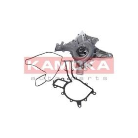 Achetez des Pompe à eau KAMOKA T0188 à prix pour 77,98 €