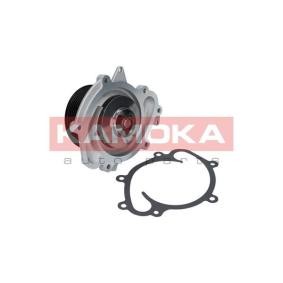 Achetez des Pompe à eau KAMOKA T0191 à prix pour 48,98 €