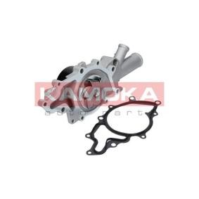 Achetez des Pompe à eau KAMOKA T0193 à prix pour 59,13 €
