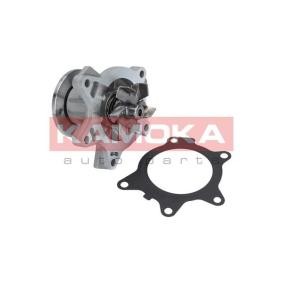 Achetez des Pompe à eau KAMOKA T0204 à prix pour 35,14 €