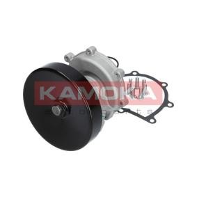 Achetez des Pompe à eau KAMOKA T0205 à prix pour 47,84 €