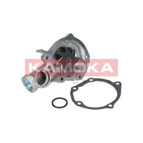 Achetez des Pompe à eau KAMOKA T0209 à prix pour 36,82 €