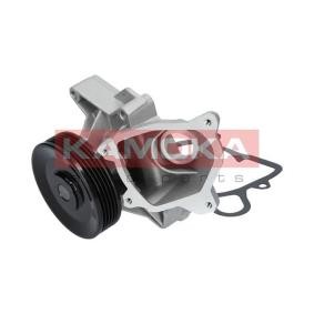 Achetez des Pompe à eau KAMOKA T0220 à prix pour 27,05 €