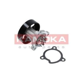 Wasserpumpe T0221 RENAULT KOLEOS von KAMOKA