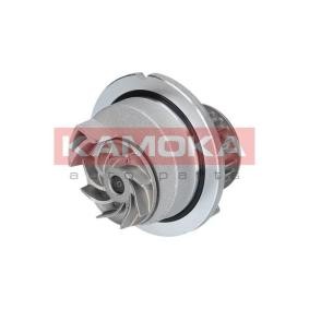 Achetez des Pompe à eau KAMOKA T0236 à prix pour 47,79 €