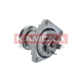Achetez des Pompe à eau KAMOKA T0237 à prix pour 38,22 €