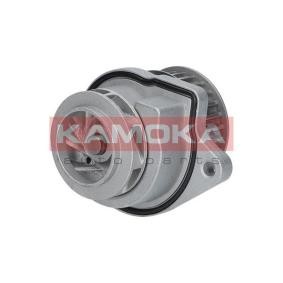 Achetez des Pompe à eau KAMOKA T0248 à prix pour 37,19 €