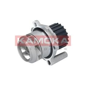 Achetez des Pompe à eau KAMOKA T0251 à prix pour 37,15 €