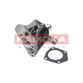 Osta Vesipumppu KAMOKA:llä T0257 edullisesti hintaan 61,41 €
